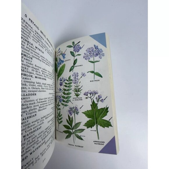 A Field Guide To Wildflowers Peterson McKenny 1968‎ NE & NC North America - Picture 7 of 9